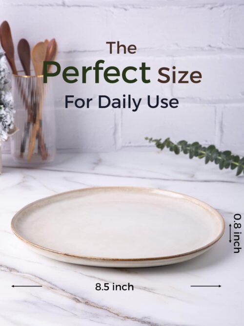 Ceramic Plates Set of 6, 8.5 Inch Handmade Reactive Glaze Stoneware Plates set for Dessert, Salad, Appetizer, Small Dinner Plates, Microwave & Dishwasher Safe, Scratch Resistant-Cappuccino